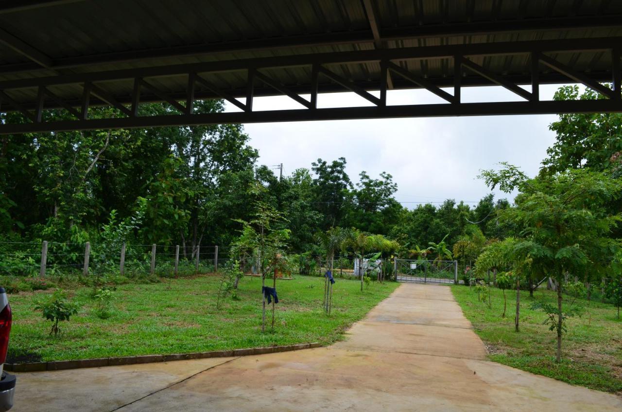 Pua Tranquil Vista Homestay Luaran gambar